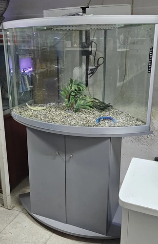 אקווריום פינתי 300 ליתרים