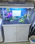 CR M 820 טאצ' 80סמ