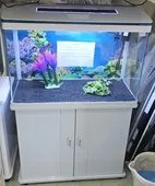 CR M 820 טאצ' 80סמ