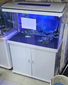 CR M 820 טאצ' 80סמ