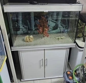 אנוביאס מטר