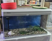 אקווריום מטר יד2