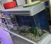 אקווריום מטר יד2