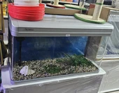 אקווריום מטר יד2