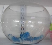 צנצנת לדג קרב