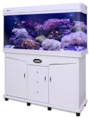 מיניאנג 120 חדש