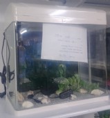 אקווריום 35 ליטרים חדש
