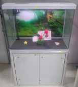 פופית חדש 80 סמ