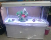 אקווריום סובו חדש מטר וחצי