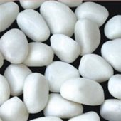 חצץ לבן 10קג 1-2סמ