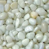 חצץ לבן לאקווריום 5-6ממ בשקית 10 קילוגרם