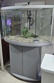 אקווריום פינתי 300 ליתרים