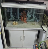 אנוביאס מטר